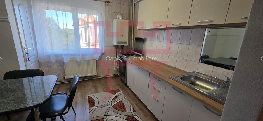 Inchiriere  apartament renovat 2 camere parcare Plopilor parcul Babes - 14