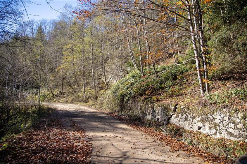 Teren de Vis langa Siriu  – 20000 mp ideal pentru Complex turistic Comision 0% - 25