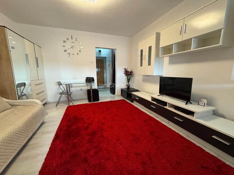 Apartament cu o camera Pod Piatra/Cantemir - 3