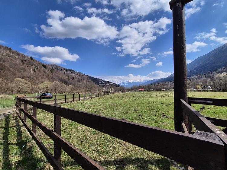 Teren superb intravilan 1200 mp, Plaiul Foii, vedere la munte - 13