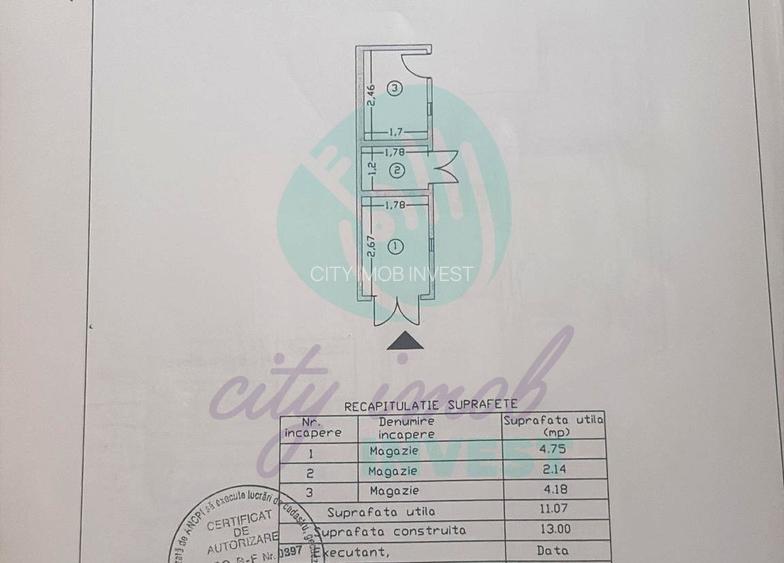 Vilă în Cotroceni | Curte proprie | Gradina Botanică-Palat-Carol Davilla - 13