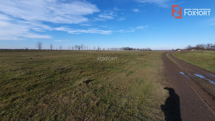 Teren intravilan 665 mp cu Puz aprobat - Padureni - 6