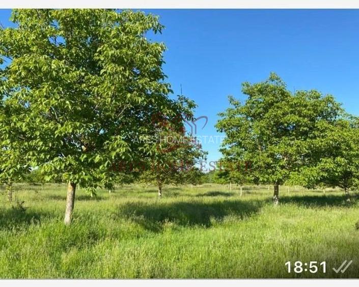 O oportunitate rară de investiție în agricultură, într-o zonă buna. - 2