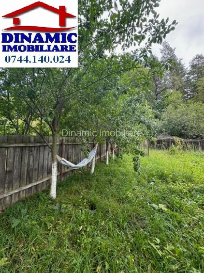 Casă, Bistrița, 1000 mp teren. Preț 590 eur/ lunar - 20