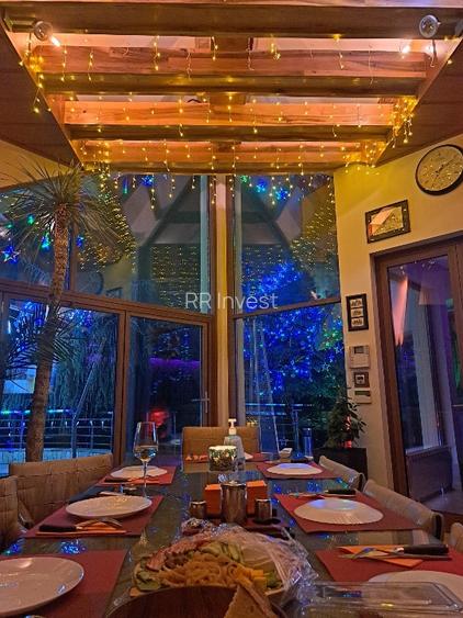 Vila grandioasa, Gradina Japoneza, SPA, Crama, Teren Tenis, Foisor, Iaz Pesti - 14