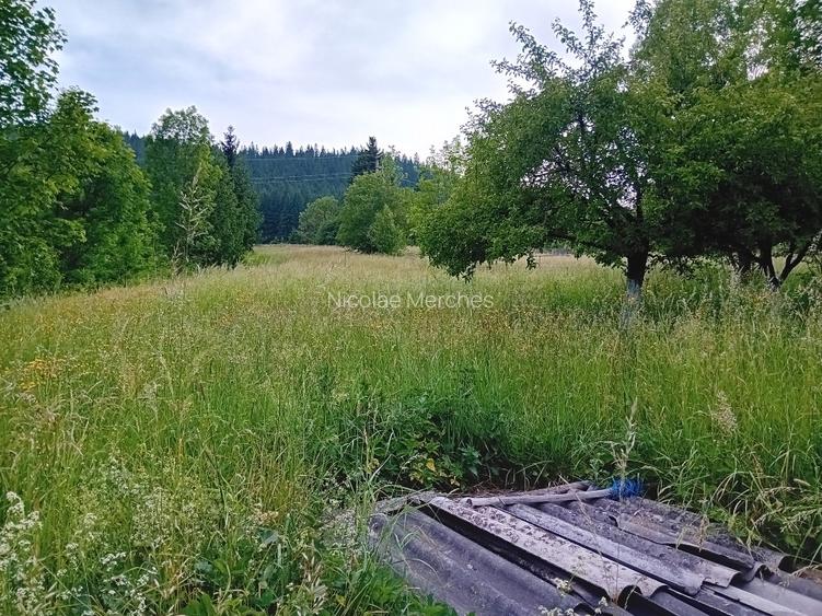 Casa Câmpulung Moldovenesc  - 2