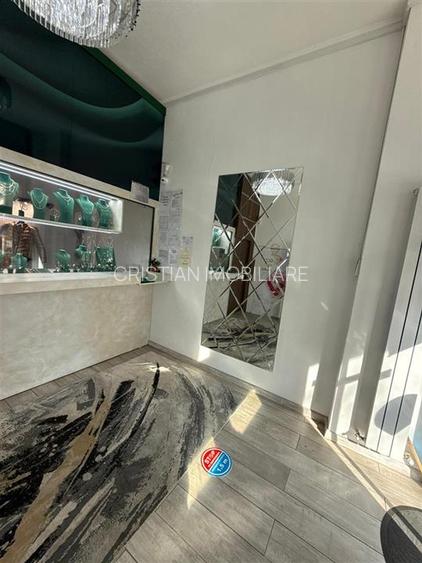 C.Calarasilor intre Concordia si Tineretului spatiu comert 25mp - 6