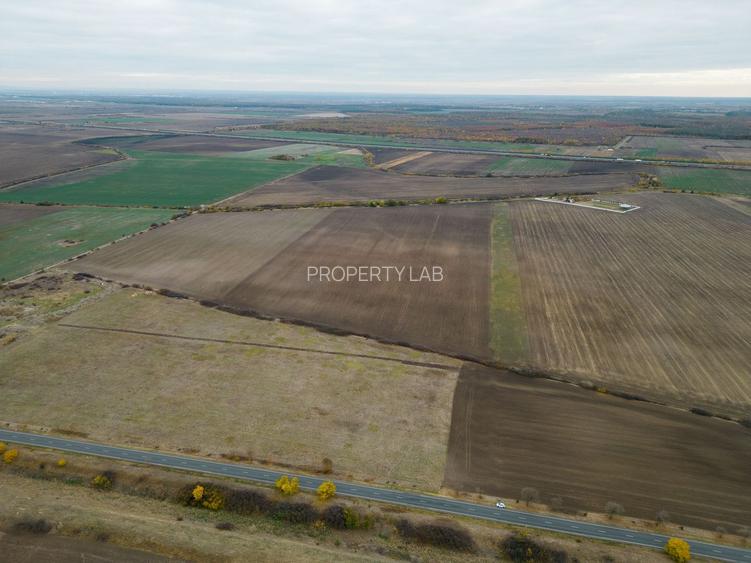 Teren 22.500 mp–Pecica, jud. Arad,Posibilitate PUZ - 5