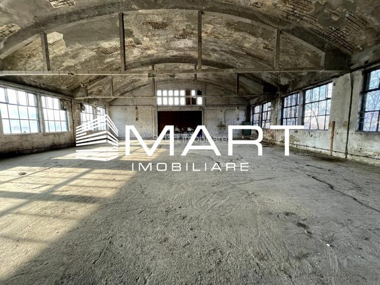 Teren intravilan 16000 mp + hale Calea Surii Mici - 5