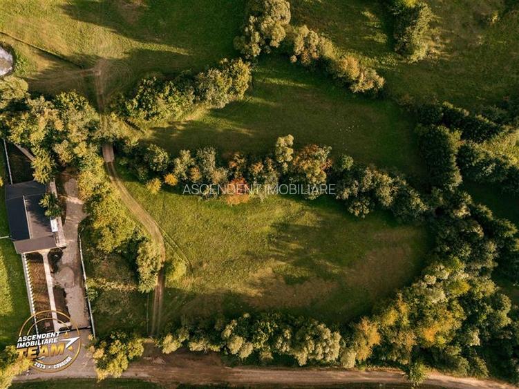 FILM! Teren extravilan, Ojdula, 4.800 mp, zona pitoreasca - 7