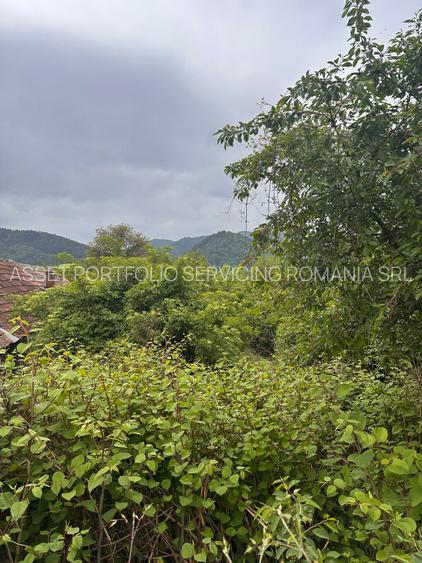 teren intravilan - Piatra Neamt - Sarata - 4