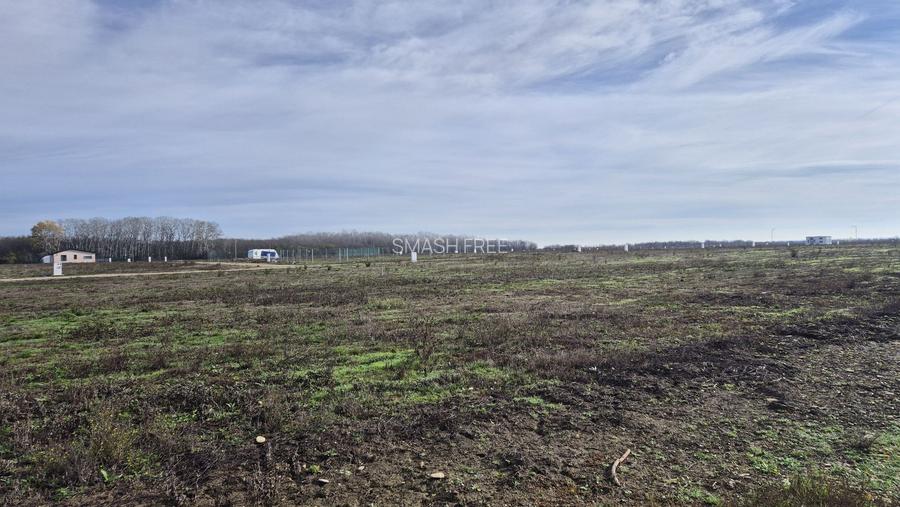 Loturi de teren 638 mp - curent tras la teren - Crevedia - 7