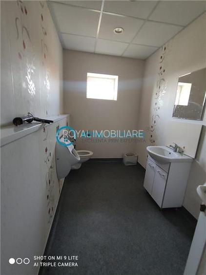 Royal Imobiliare-Inchiriere Spatiu de Birouri Zona Cantacuzino - 31