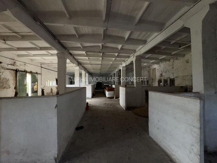 Eforie Sud Depozit Parter + Mezanin cu rampă Auto și CF - 2