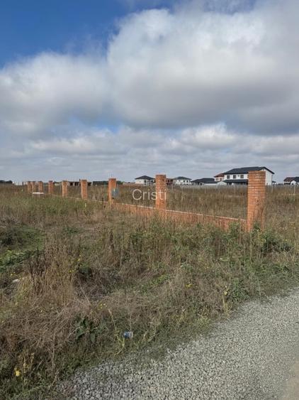 Teren de vanzare, Sacalaz - 3