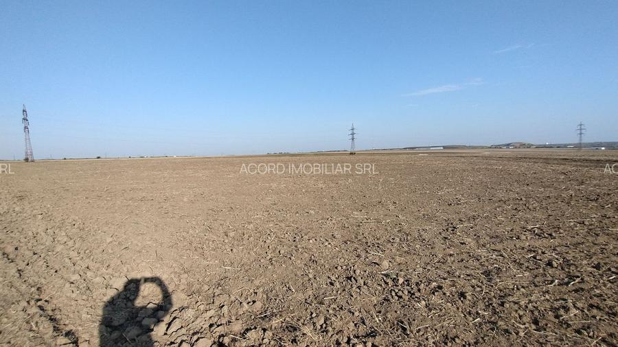 Teren pentru Parc Logistic, hale - Ovidiu - 5