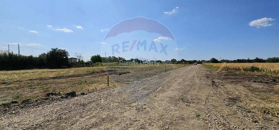 Terenuri intravilane Frumușani – Preț excelent, investiție sigură! - 7