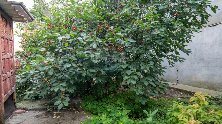 Casă individuală de vanzare + teren intravilan 539 mp - Parc Bazilescu - 15