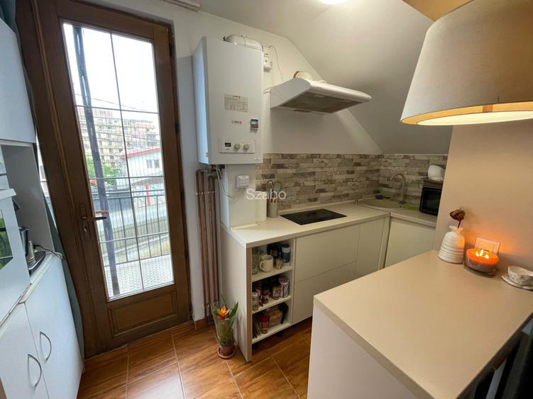 Apartament cu 1 camera la casa - 5