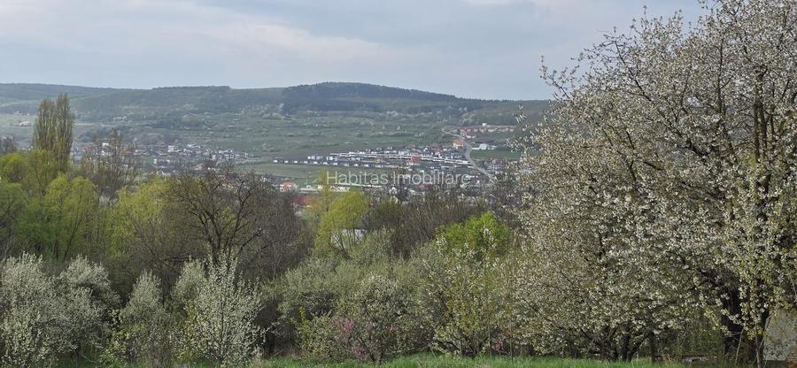 Teren cu vedere panoramica de vânzare în Chinteni - 3