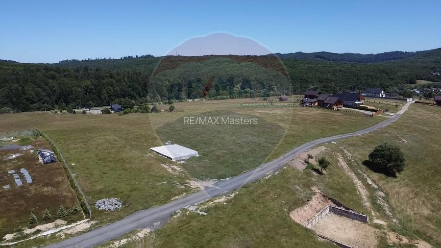 Teren 3,757mp Paltinoasa / Strada principala - 4