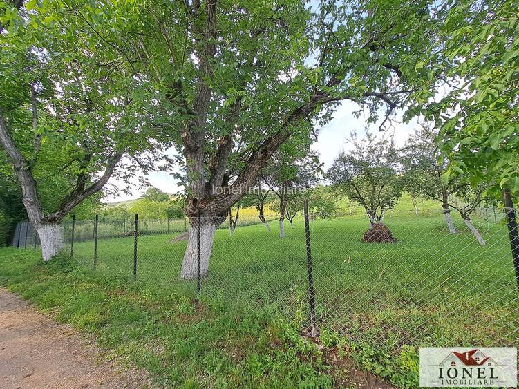 Vanzare teren in Benic - 4