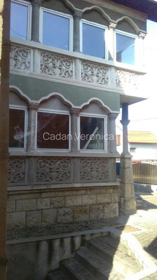 2 Case de vanzarerin Alba Iulia Centru langa Primarie 600 m2 - 8