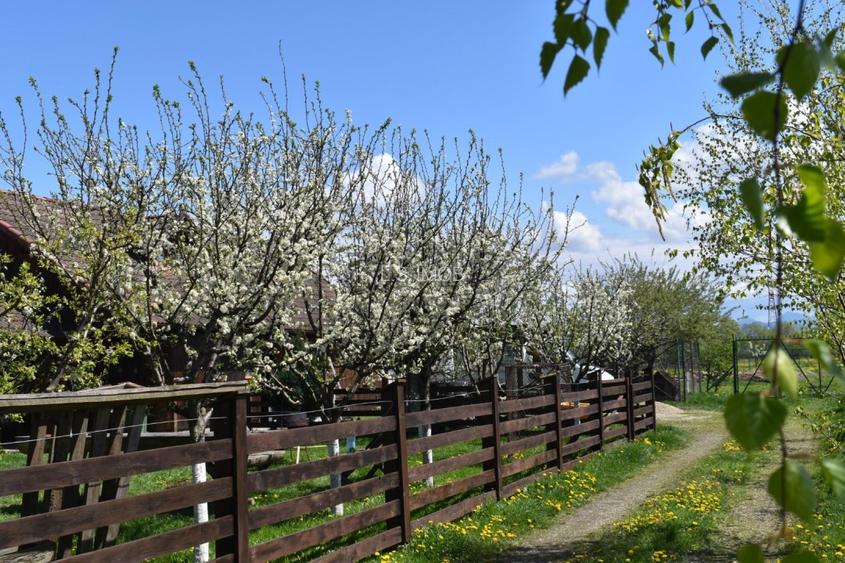 TEREN INTRAVILAN CU CONSTRUCTII AGROTURISTICE SI CABANA CODLEA - 4