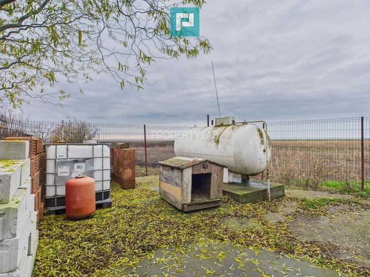 Casă individuală spațioasă, la 10 km de Timișoara - 42