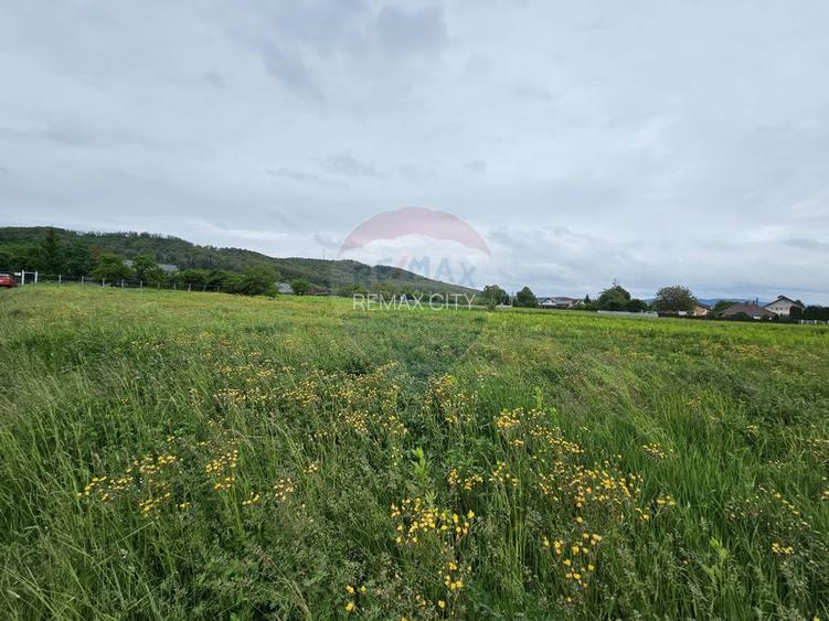 Teren 1,495mp Dobreni / Strada Parau Almas - 15