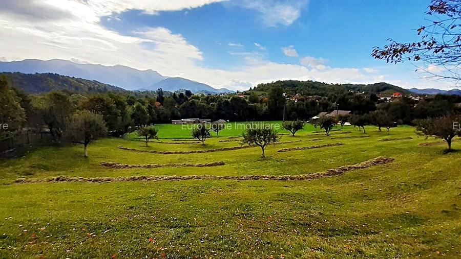 Teren superb de 16240mp, parcelabil, in Bran la intrare in Moeciu de Jos - 11