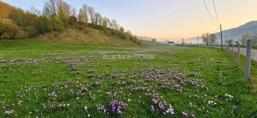 Teren de vanzare in Bucovina - 6
