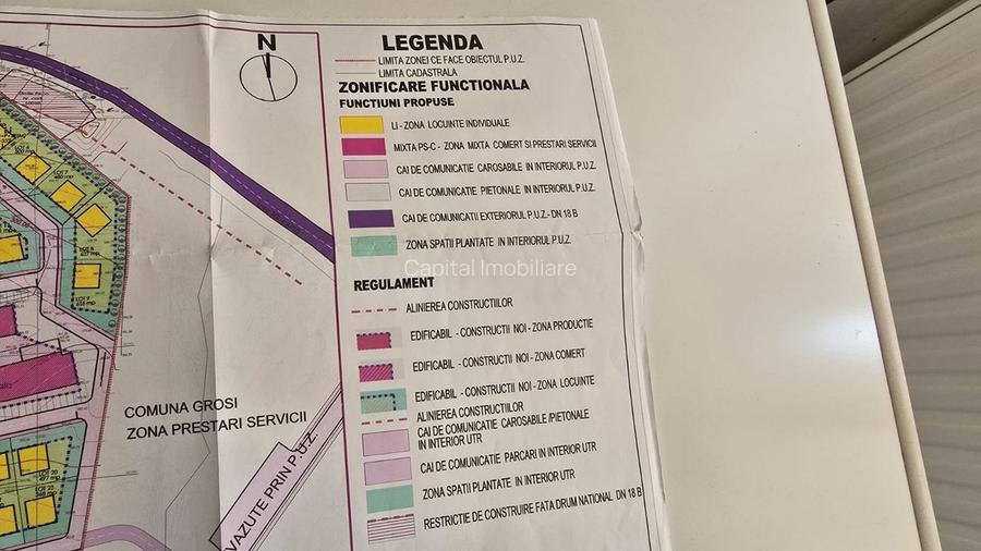 Teren de  vanzare in Grosi: 50.000 mp  - 6