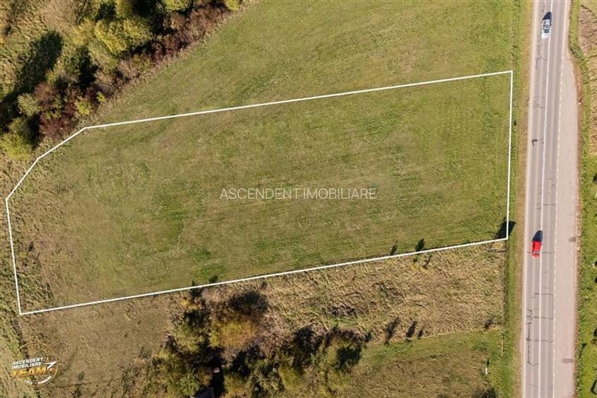 FILM! Teren intravilan industrial, deschidere la DN, Sfantu Gheorghe, Covasna - 6