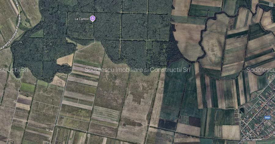 Teren zona Mosnita Padurea Bistra - 2