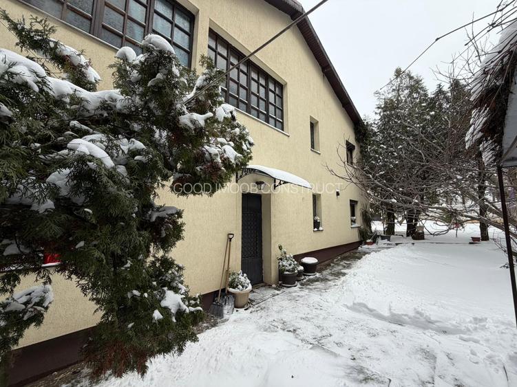 Vilă interbelică și teren 684 mp zona Viilor/Parcul Carol - 19