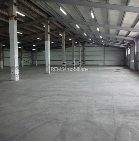 Hala depozitare/productie - 2