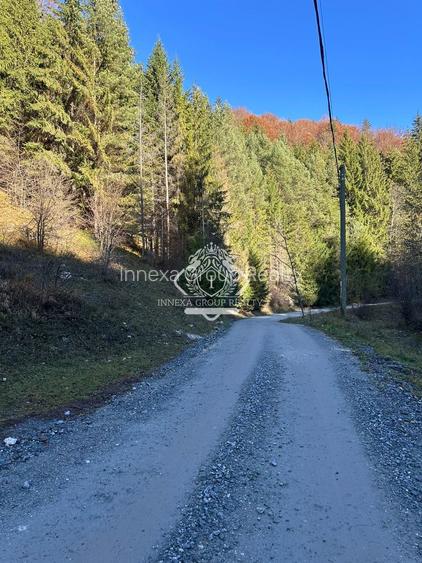 Teren 2.882 mp – oportunitate investitie - Cheile Dâmbovicioarei - 14