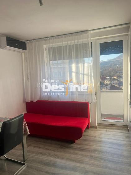 Apartament 2 camere, Baia Mare, Victor Babes, decomandat, mobilat, etaj 8 /10 - 10