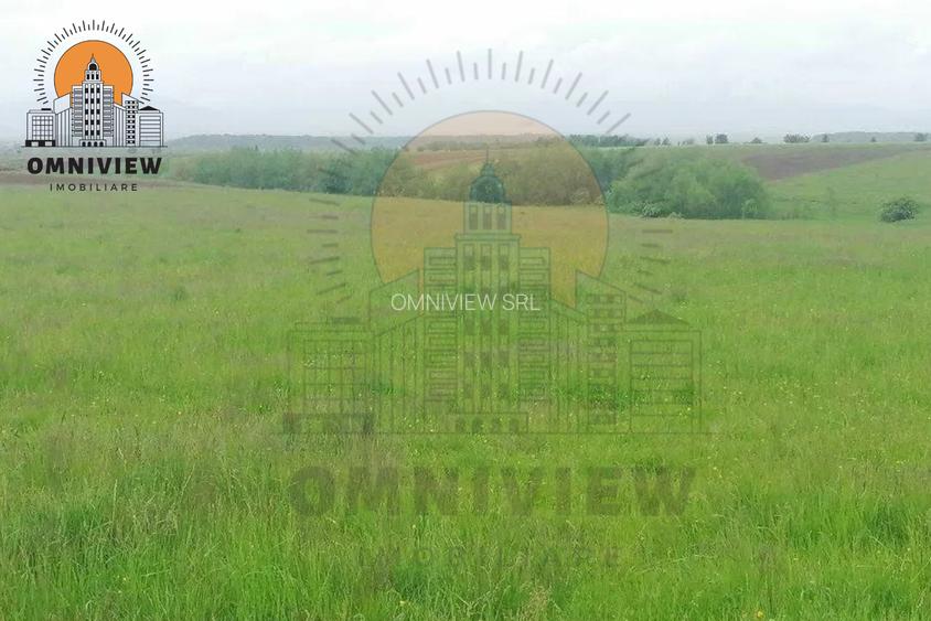 Teren intravilan Dobolii de Jos 47.700 mp | PUZ+autorizație | POT 50% - 9