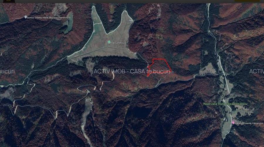 Teren 7 ha, Lac Vidraru, Podis Molivis - 5