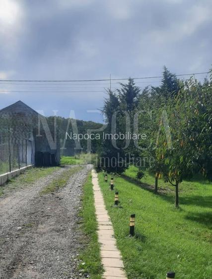 Casa 4 camere de vanzare in Salicea - 6