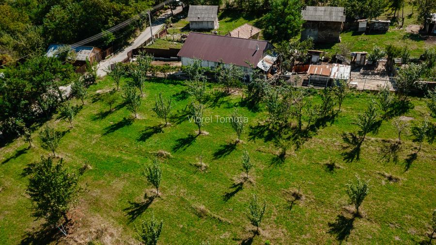 Teren cu suprafața de 5100mp amplasat într-o zonă superbă de munte - 5