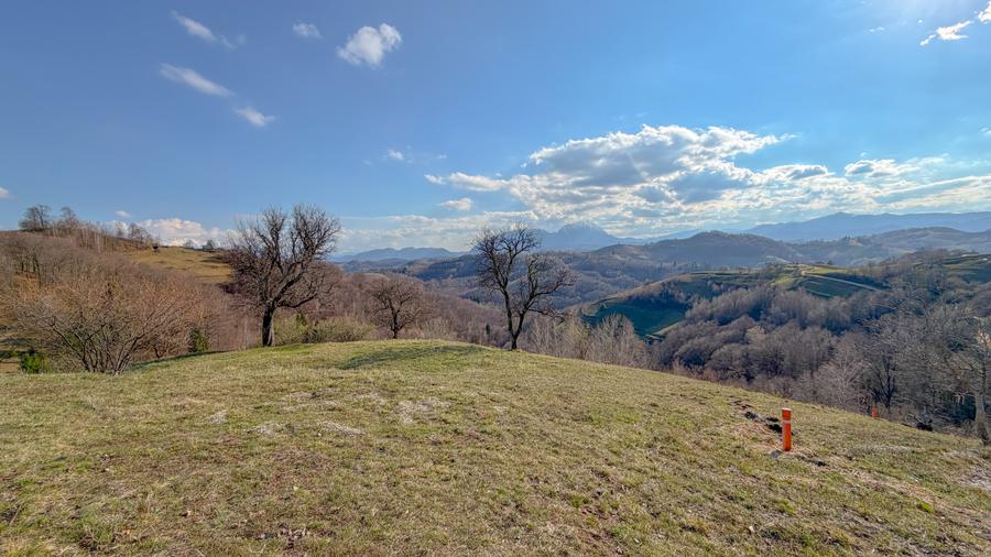 Refugiu de poveste în inima naturii | 12.000 mp în Holbav | Proiect început