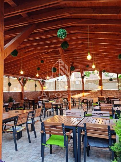 Afacere la cheie, in apropierea Castelului Corvinilor in Hunedoara - 26