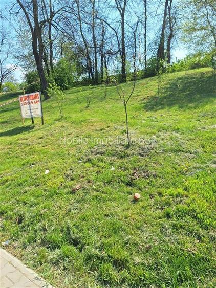 TEREN DE INCHIRIAT  500 MP  Calea Marasesti - 4