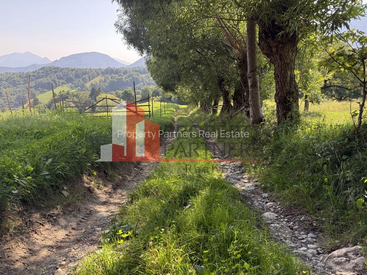 Teren Sohodol 5000 mp - 3