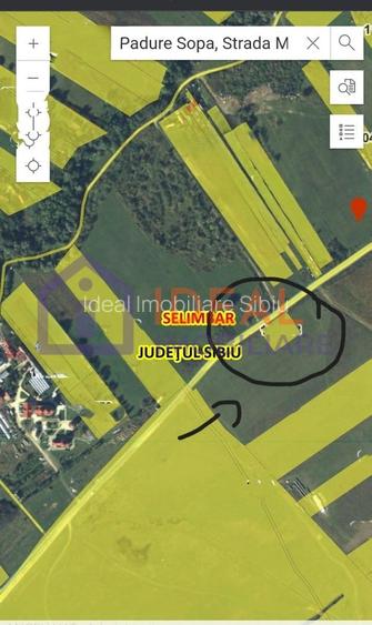 Teren de 1.650 mp – deschidere generoasă la drumul spre Pădurea Șopa, Șelimbăr - 3