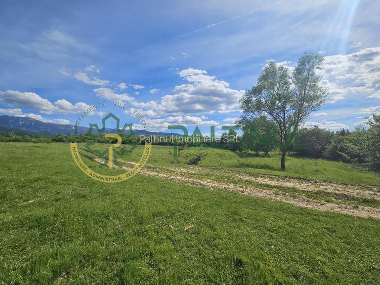 Teren de vânzare în Racovița, Sibiu – Valea Lupului - 4