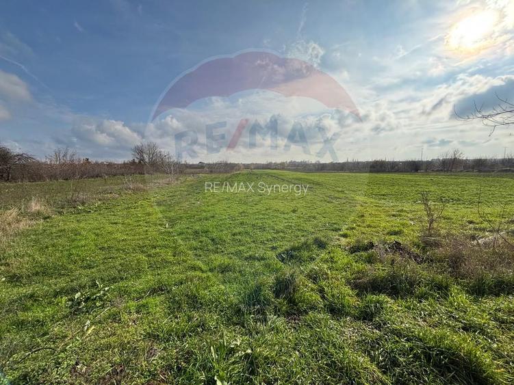 Teren 7.094 mp Buftea lângă parc – POT 30%, CUT 1, ideal dezvoltare - 5